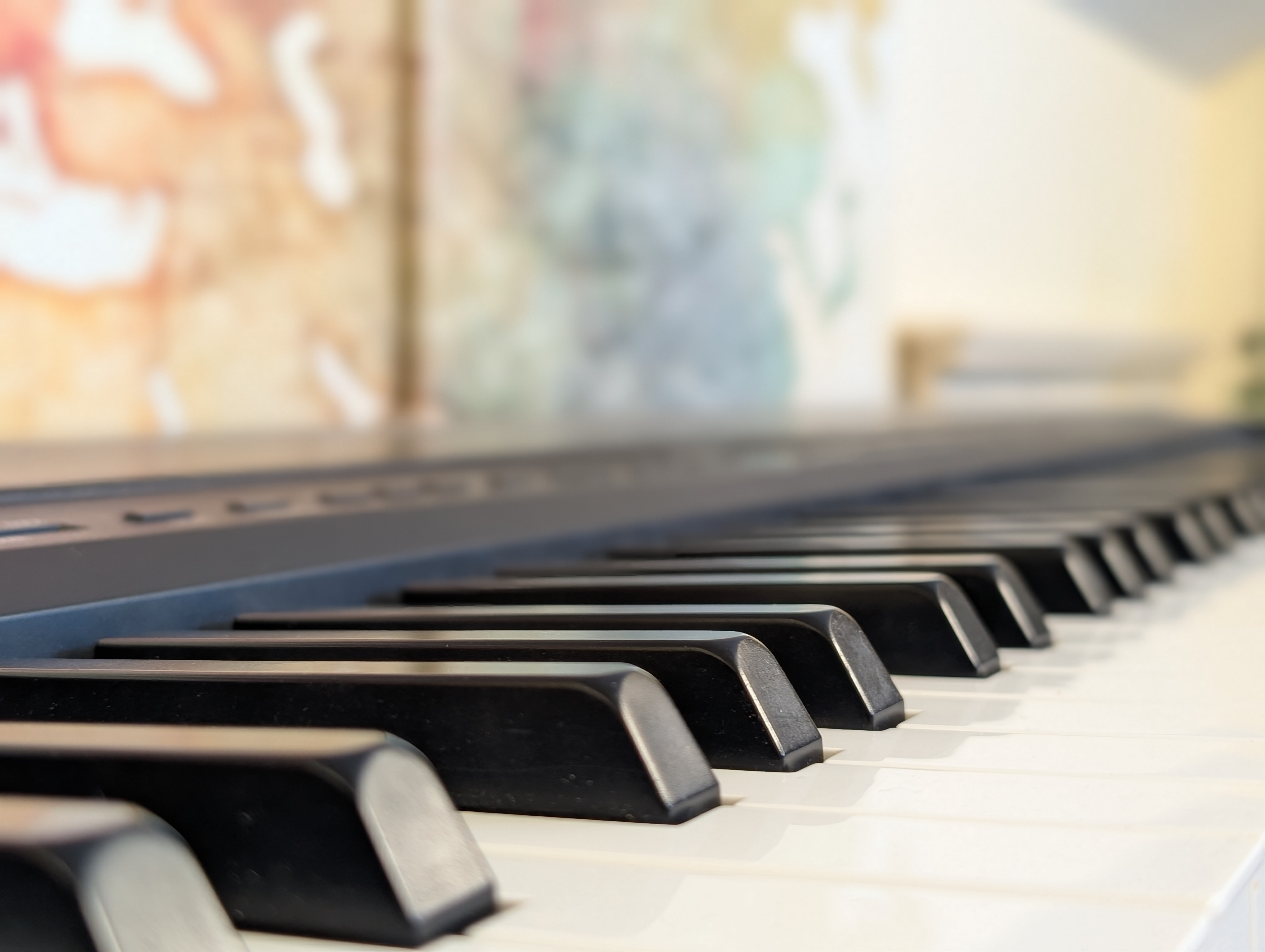 Parrakeys Piano Studio